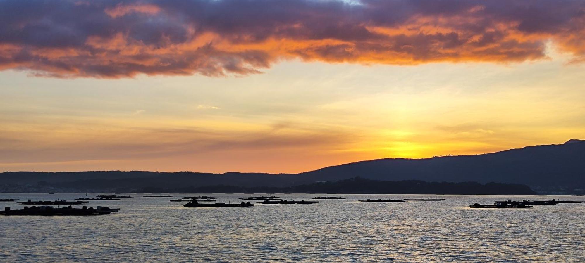 Apartamento El Rincon De Elia, Haz Realidad Tu Sueno De Vivir Con Vistas Al Mar Villanueva De Arosa Dış mekan fotoğraf